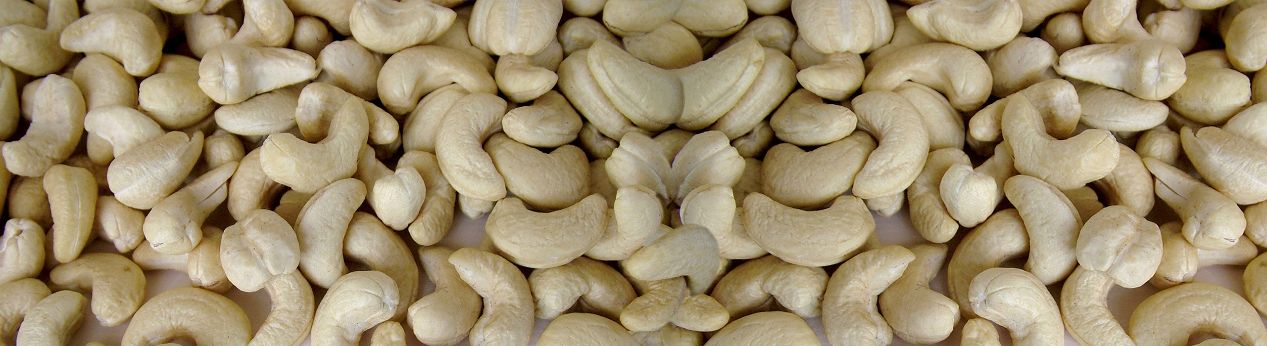 Bolkar Cashews