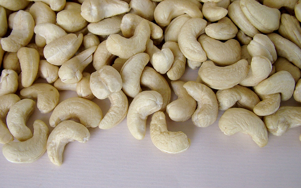 Bolkar Cashews Blog